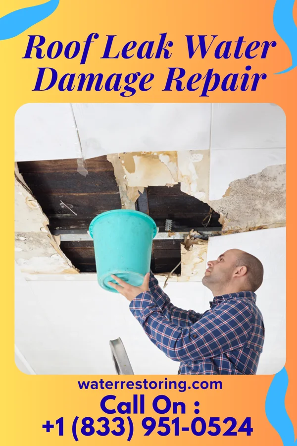 Roof Leak Water Damage Repair in Winchester, NV